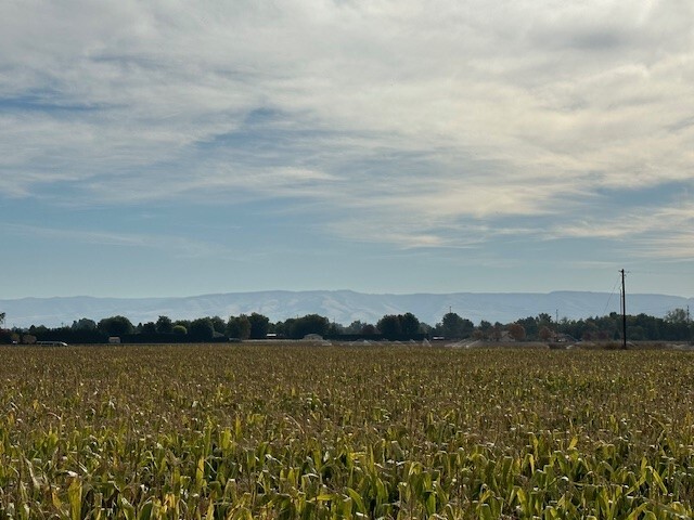 tbd Bunchgrass Lane Walla Walla County, Walla Walla, WA for Sale