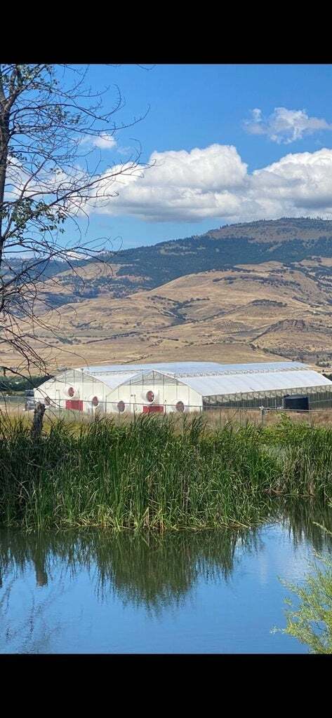 420 REITEN Dr, Ashland, OR for Sale