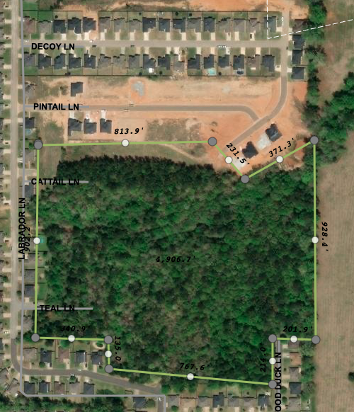100 Labrador Ln, Hallsville, TX for Sale