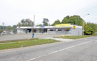 Pontiac, MI Freestanding - 731-745 N Perry St