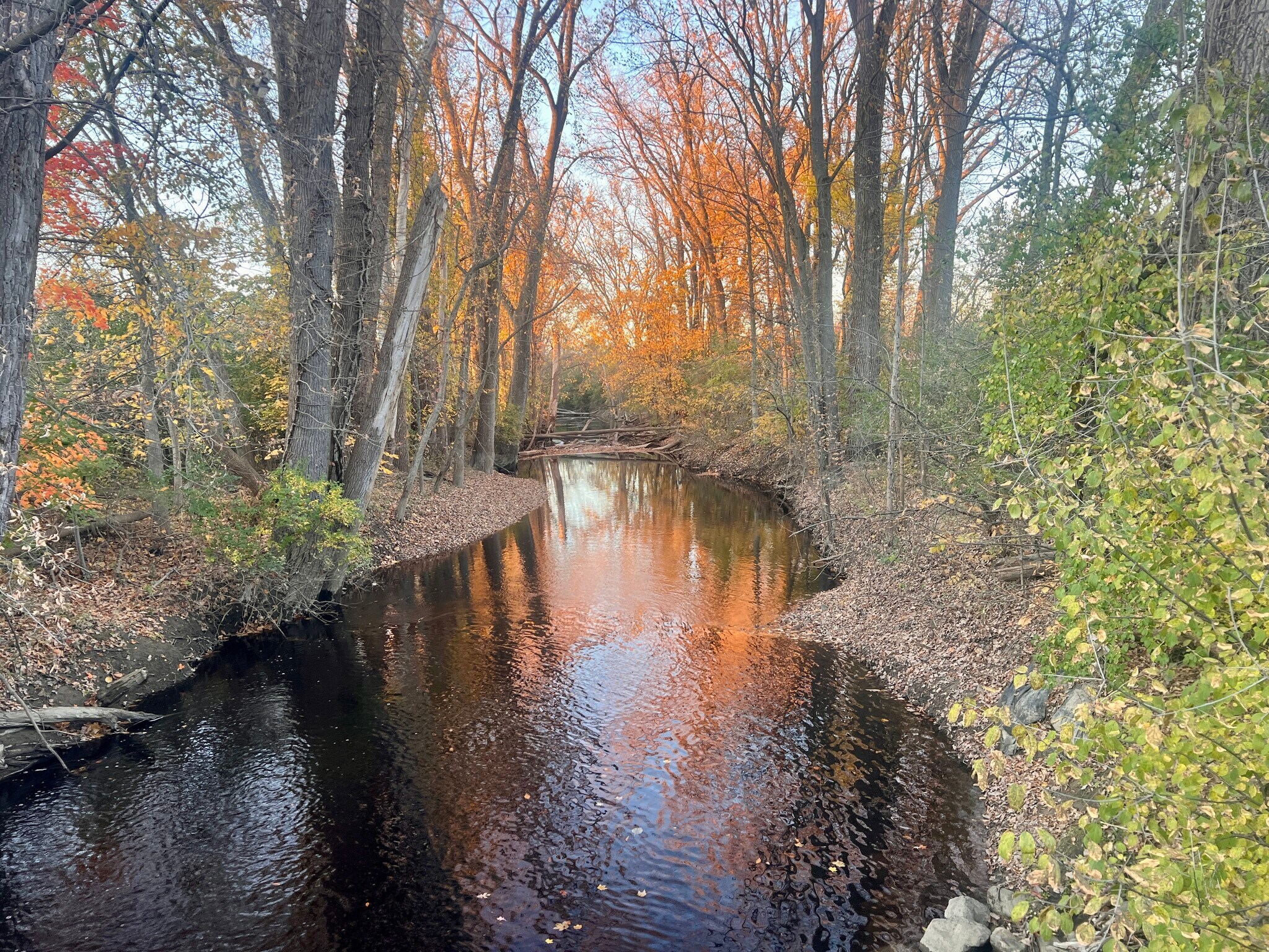 0 Court St, Davison, MI for Sale