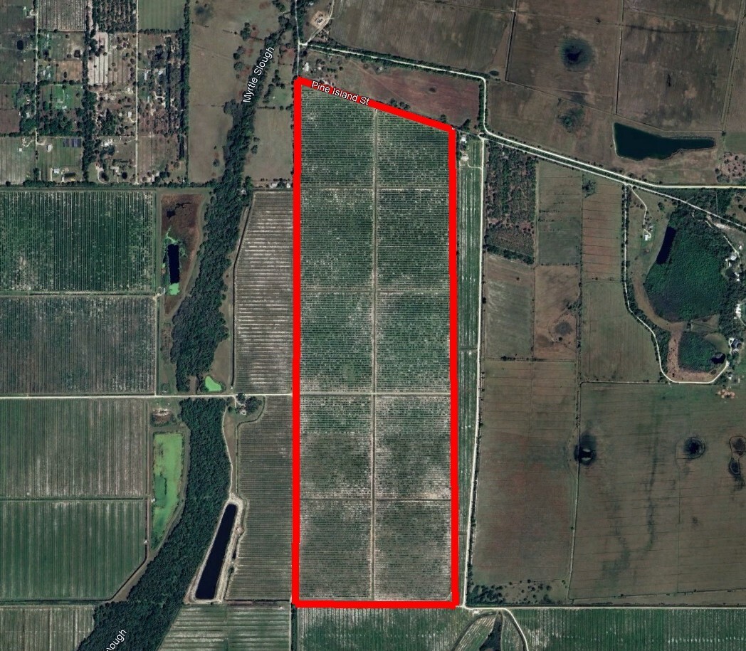 7019 Prairie Creek rd, Arcadia, FL for Sale