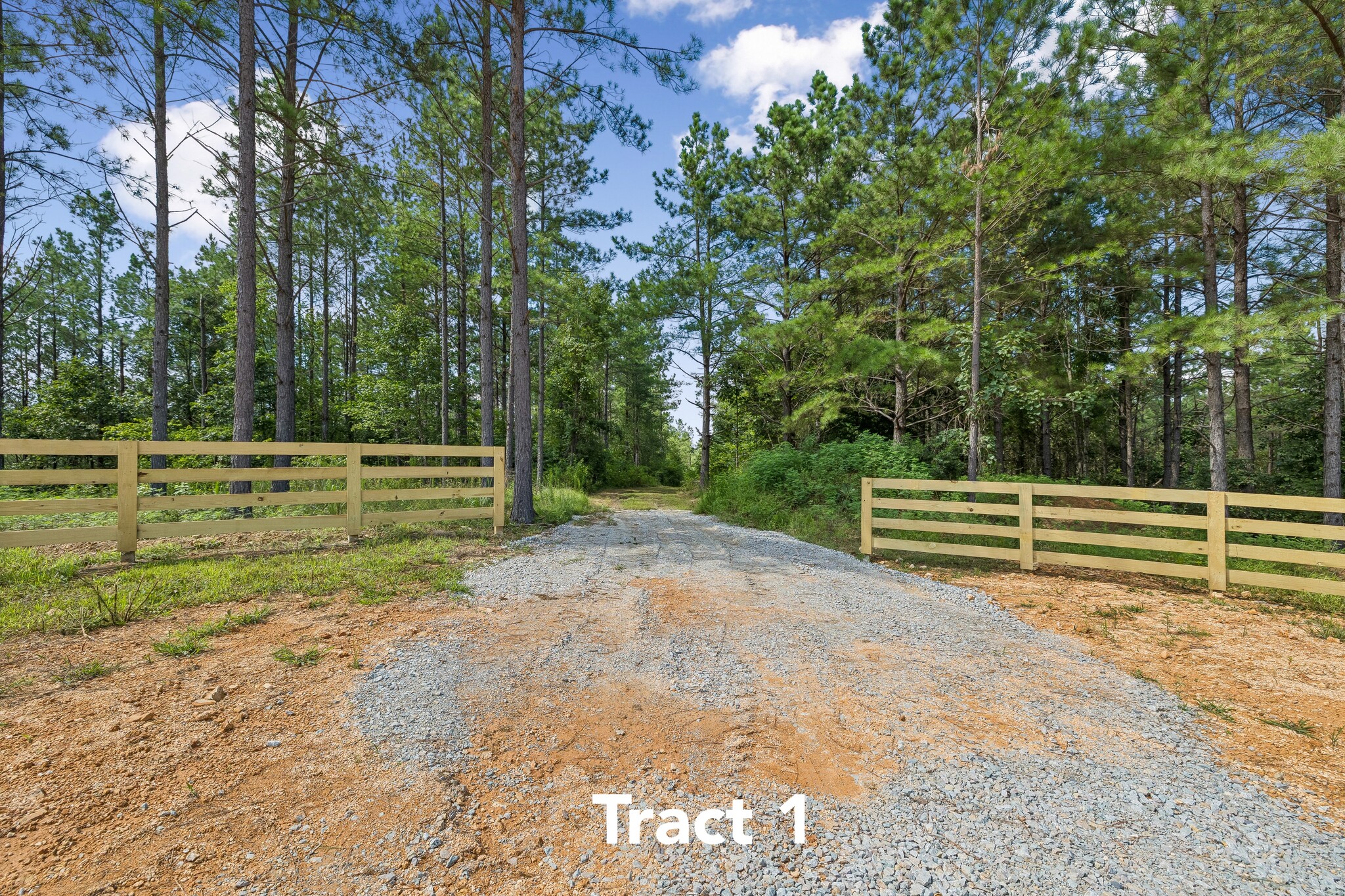 1420 Big Swan Creek Rd, Summertown, TN for Sale