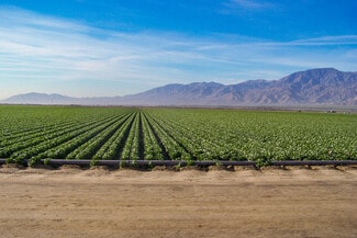 Thermal, CA Agricultural Land - 59059 Jackson st