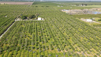 Dunnigan, CA Agricultural - 26010 Co 2 rd