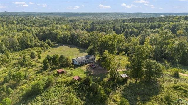 697 Airlite Rd, Marshall, TX for Sale