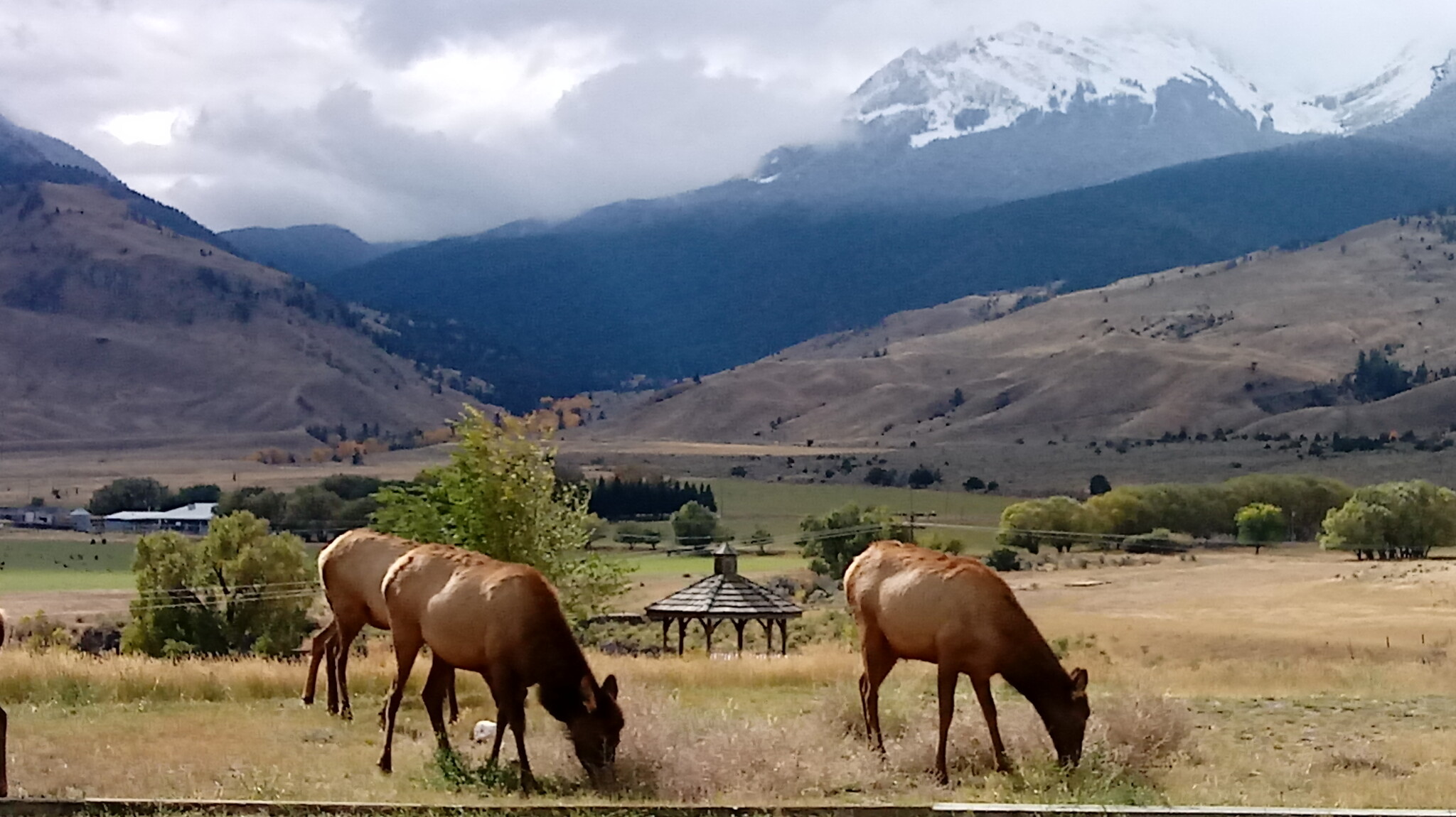 4 Maiden Basin Dr, Gardiner, MT for Sale