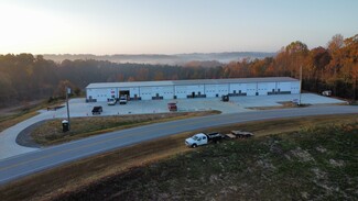 Yadkinville, NC Flex - Service Rd