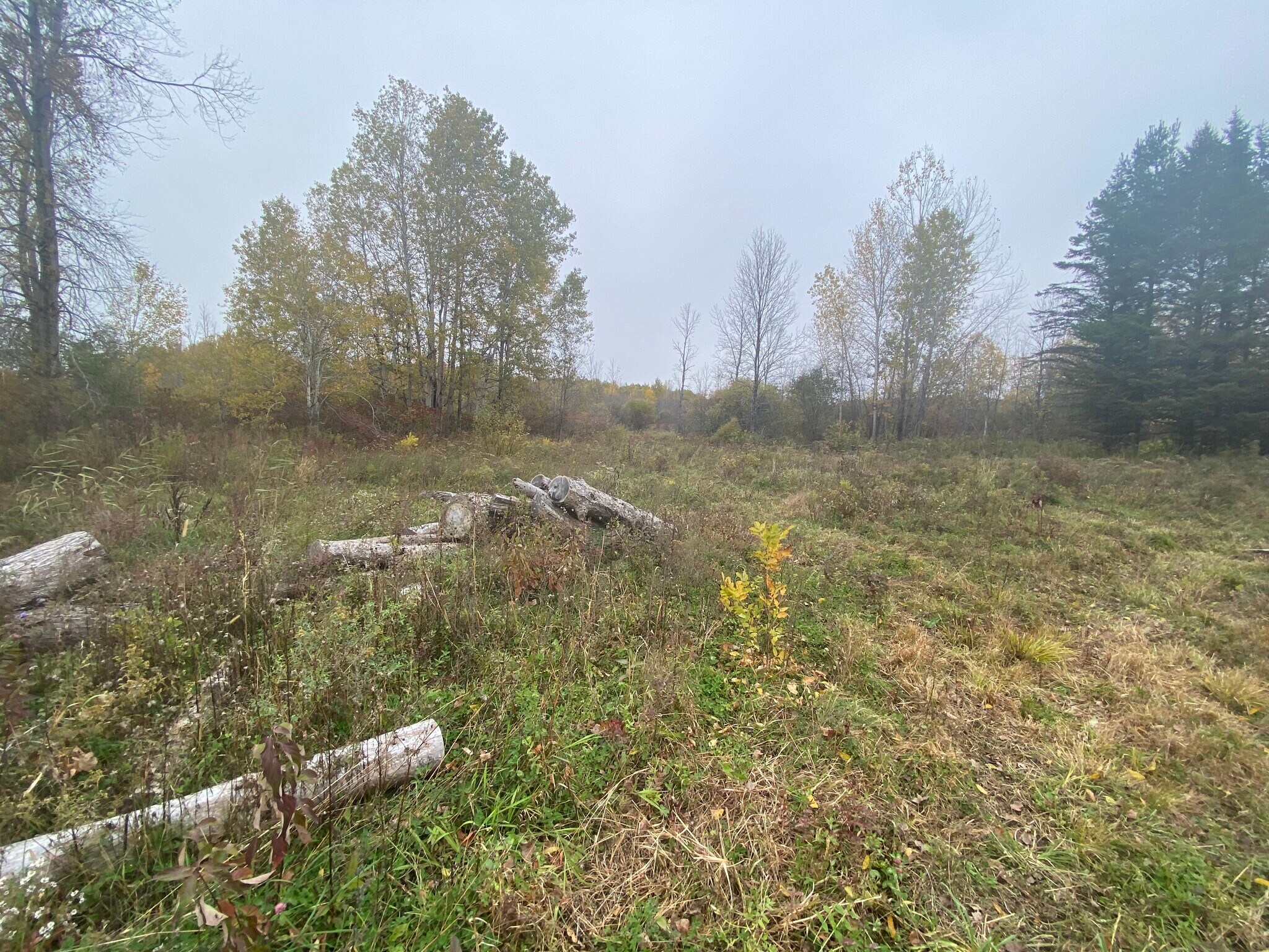 Caughdenoy Rd, Clay, NY for Sale