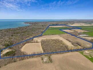 Tiny, ON Commercial - Tiny Flos Townline