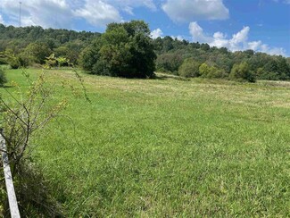 Horse Cave, KY Commercial Land - 391 Old Dixie Hwy