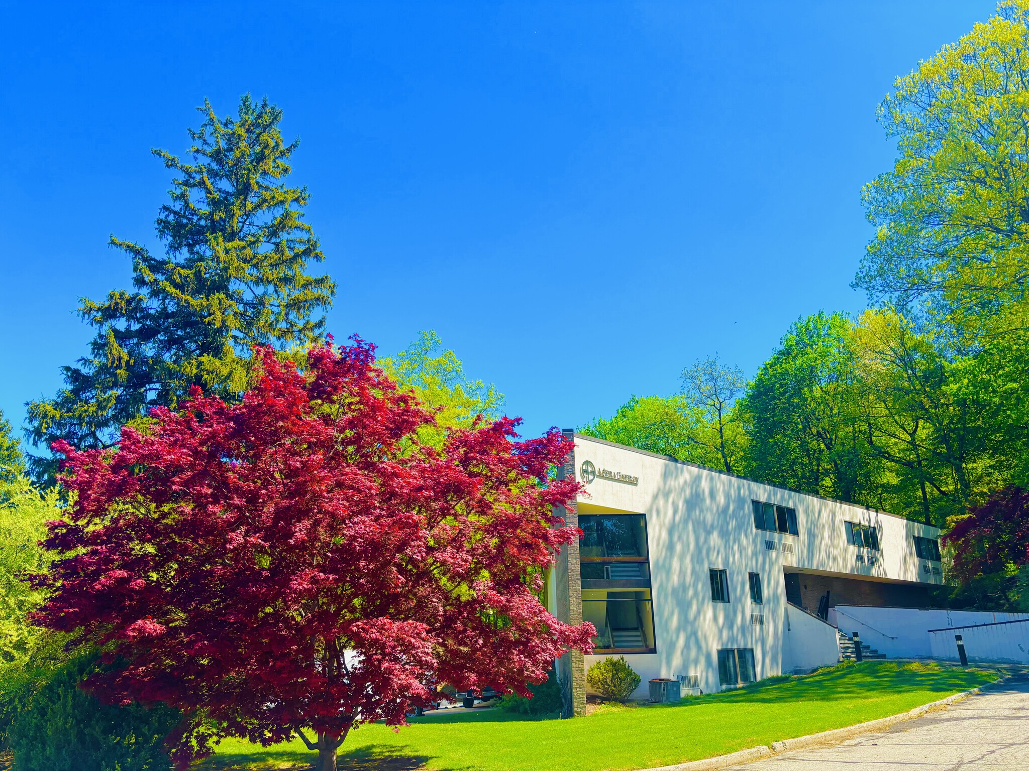 555 Pleasantville Rd, Briarcliff Manor, NY for Rent