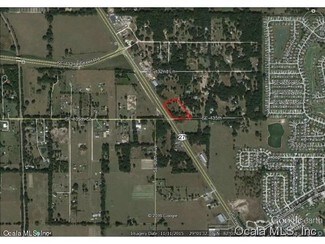 Summerfield, FL Commercial Land - 00 US Highway 441