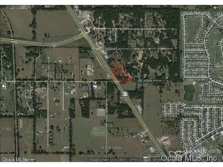 Summerfield, FL Commercial - 00 US Highway 441