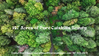 Parksville, NY Residential Land - 480 Breezy Hill Rd