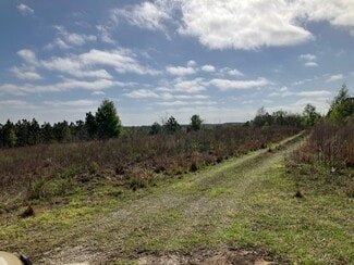 Lecanto, FL Residential Land - 1083 Obrien Point