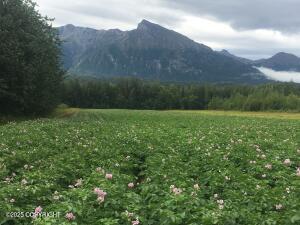 24220 E Bannon Way, Sutton, AK for Sale