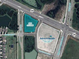 Wesley Chapel, FL Commercial Land - 31300 State Road 54