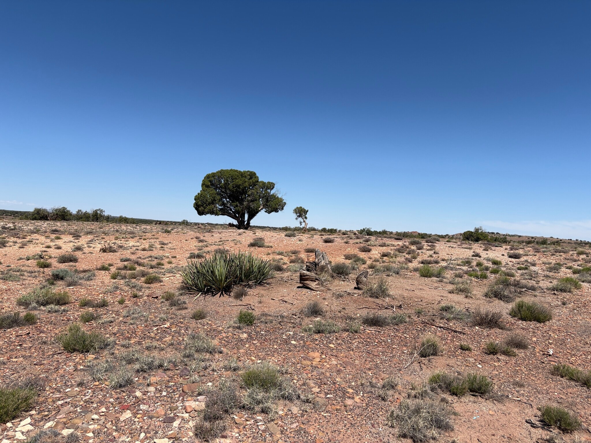 156 County Road N9146 rd, Concho, AZ for Sale
