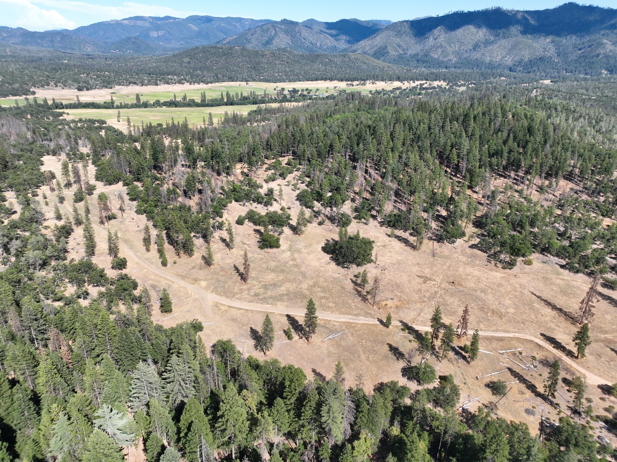 159 Buck Ln, Hayfork, CA for Sale