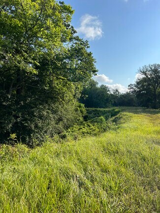 Alvin, TX Agricultural Land - County Road 191