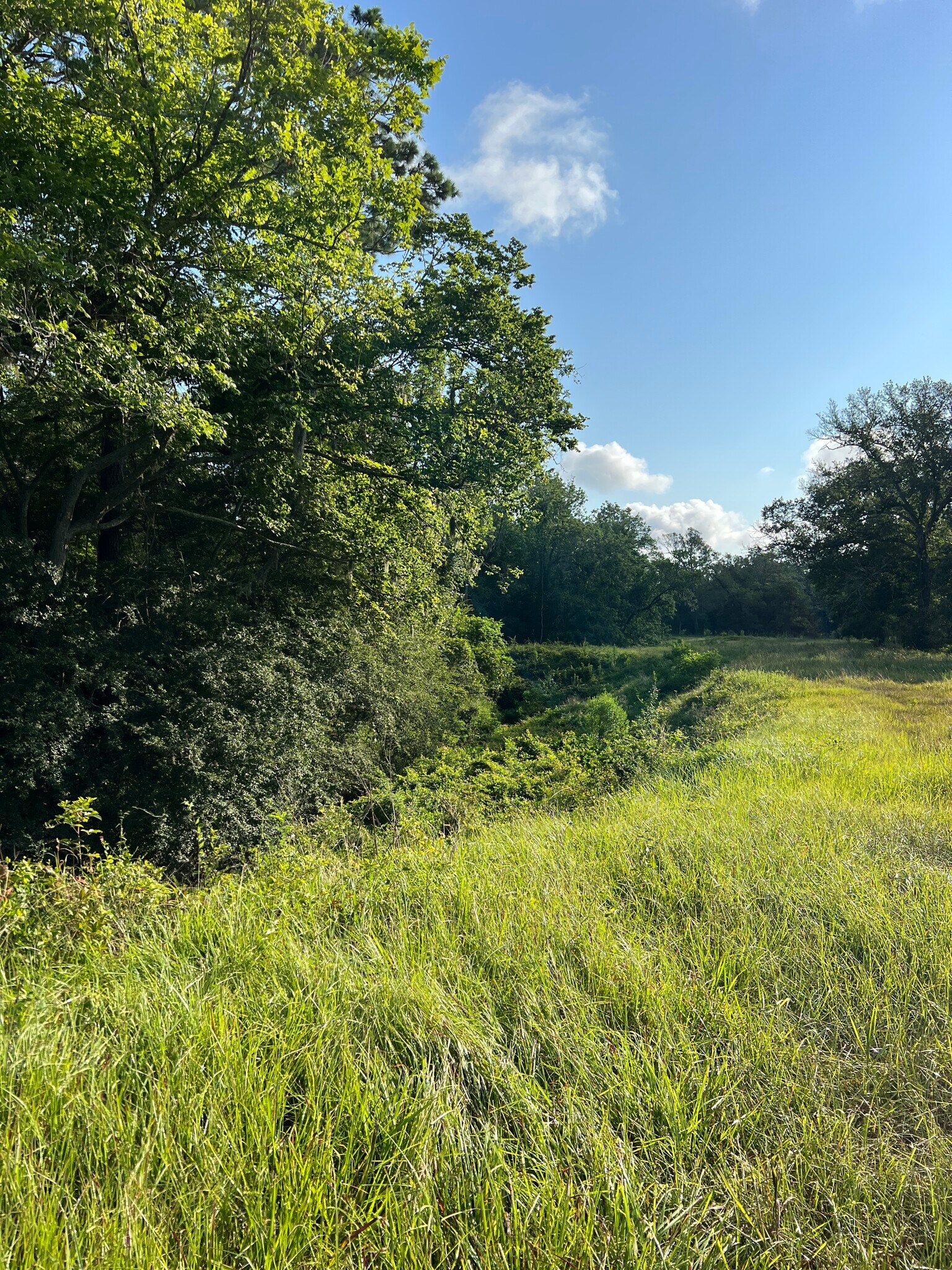 County Road 191, Alvin, TX for Sale