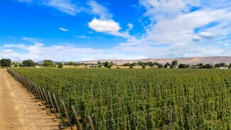Grandview, WA Agricultural Land - Apricot Rd Grandview, WA Agricultural Land - Apricot Rd