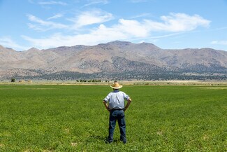 Doyle, CA Agricultural - 425-940 Constantia Rd