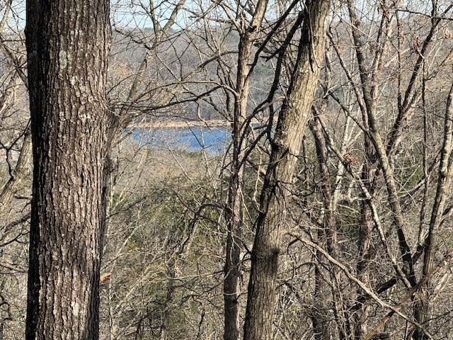 190 Edgewater Dr, Eureka Springs, AR for Sale