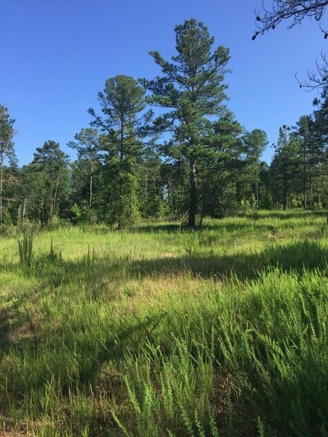 9139 Veterans Parkway, Fortson, GA for Sale