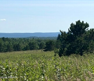 Beech Creek, PA Agricultural - Beech Creek Mountain Rd