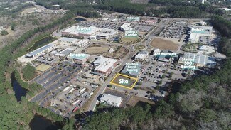 Bluffton, SC Commercial Land - Buckwater Pl