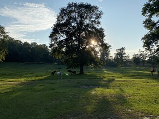 Auburn, AL Agricultural - 8182 County Road 53