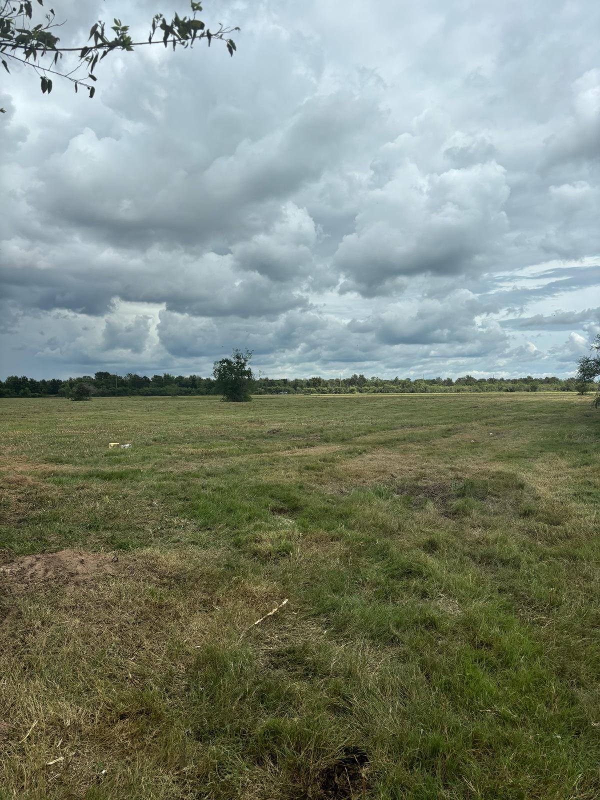 00 Orange Hill rd @ HWY 36, Sealy, TX for Sale
