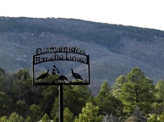 248 Los Penetos Rd, Torreon, NM for Sale