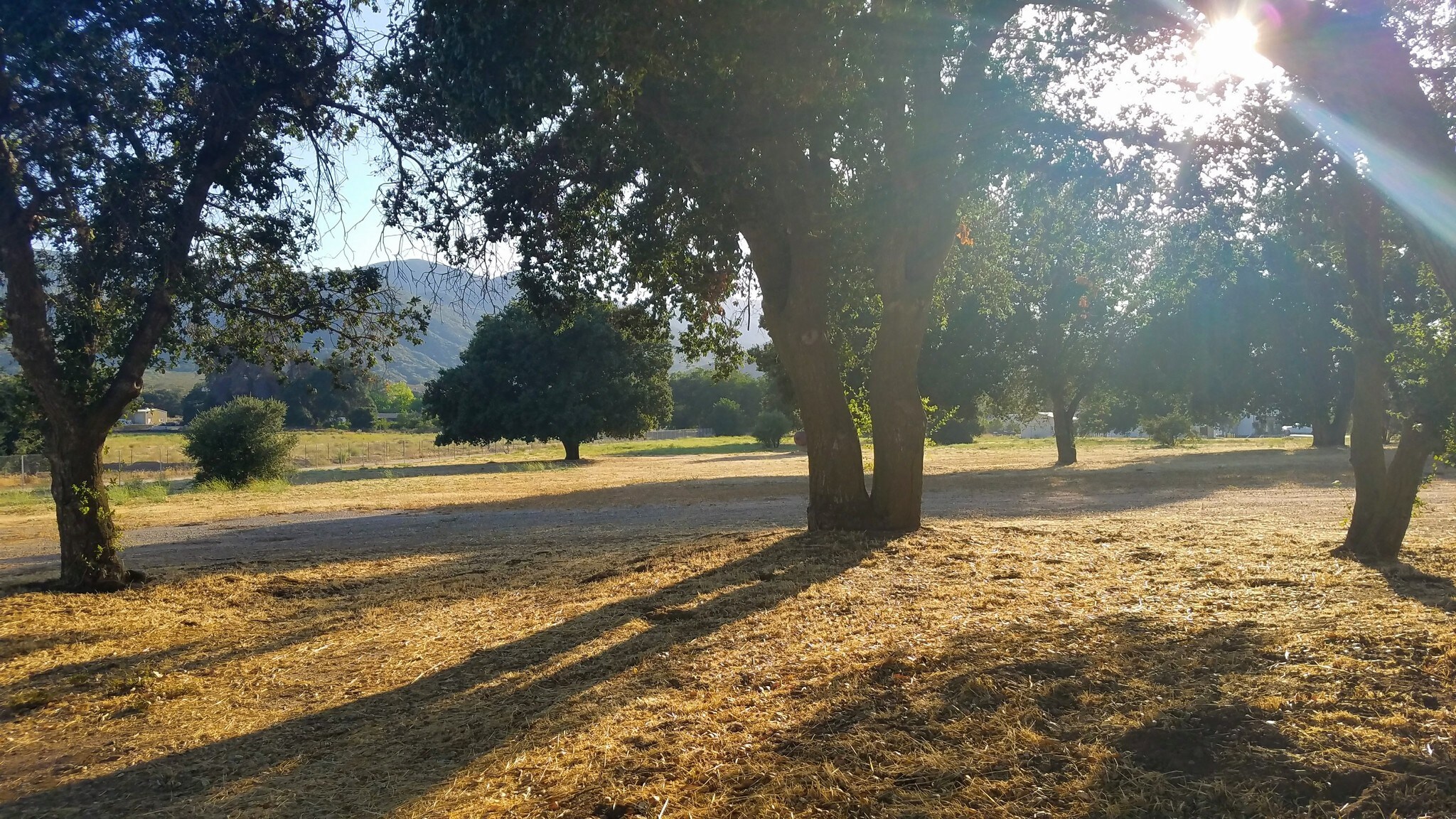 35250 Hwy 79, Warner Springs, CA for Sale