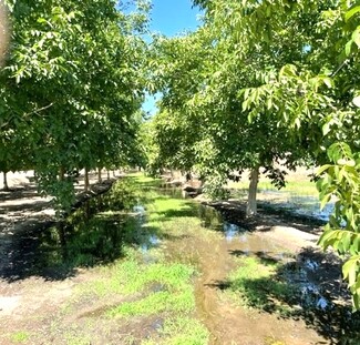 Strathmore, CA Agricultural - Avenue 184