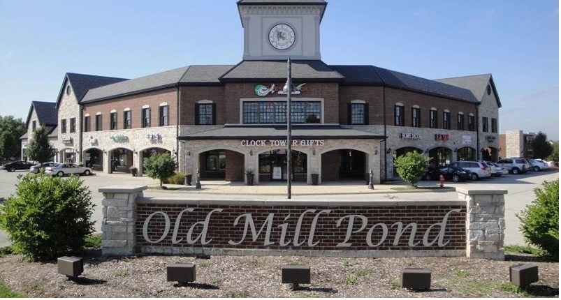 18700 Wolf Rd, Mokena, IL for Rent