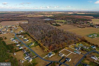 Millsboro, DE Residential - 50 acres Mt Joy