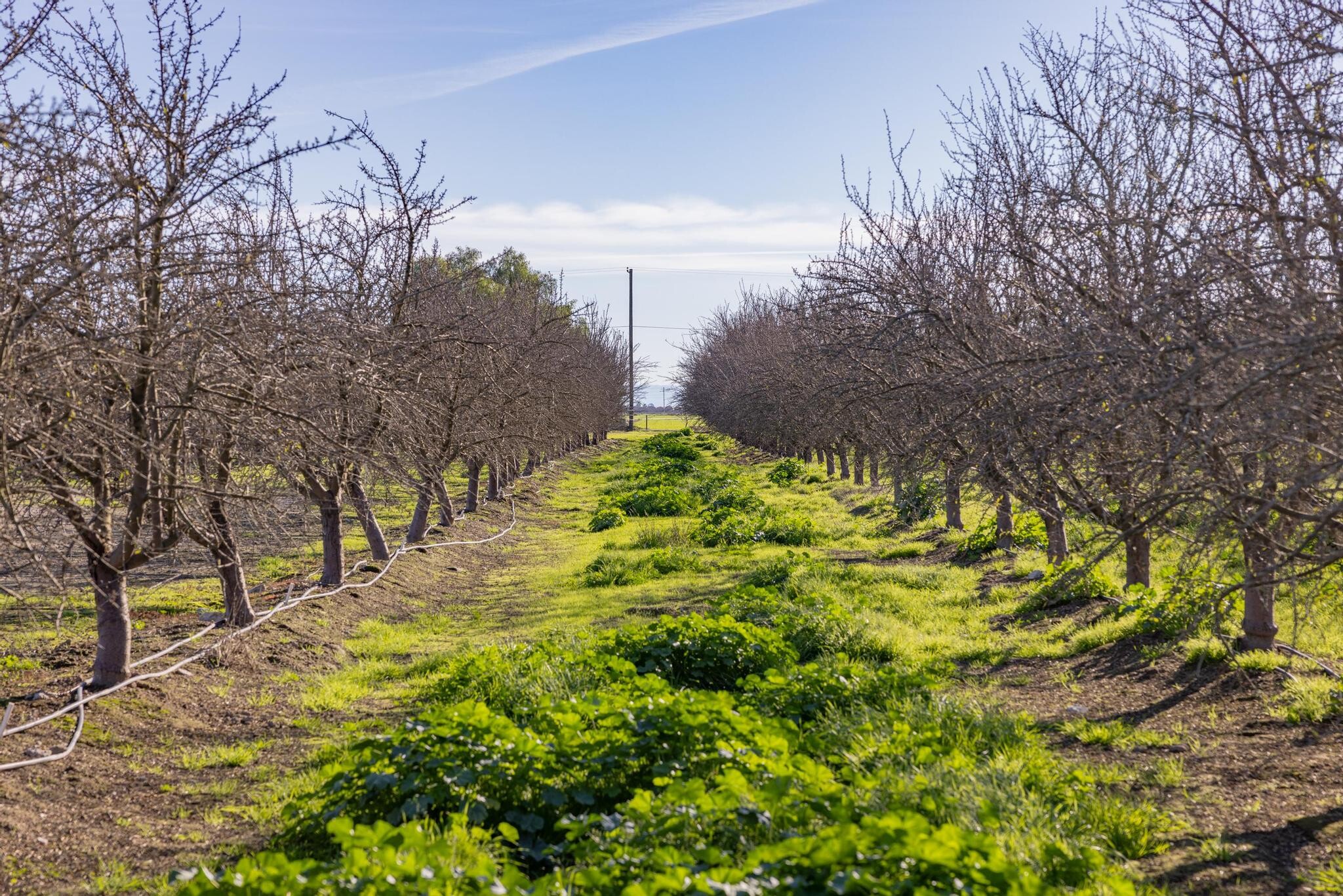 10806 Crows Landing Rd, Crows Landing, CA for Sale