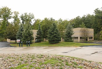Wixom, MI Industrial - 47677-47695 Avante Dr