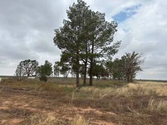Tahoka, TX Commercial - CR 8 and CR 11