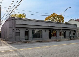 Windsor, ON Retail - 225-227 Erie St E