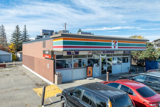 Calgary, AB Convenience Store - 7233 Ogden Rd SE