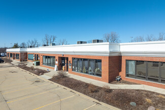 Glenview, IL Flex - 10350 Dearlove Rd
