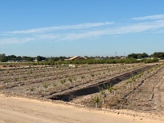 Yuma, AZ Commercial - County 18th