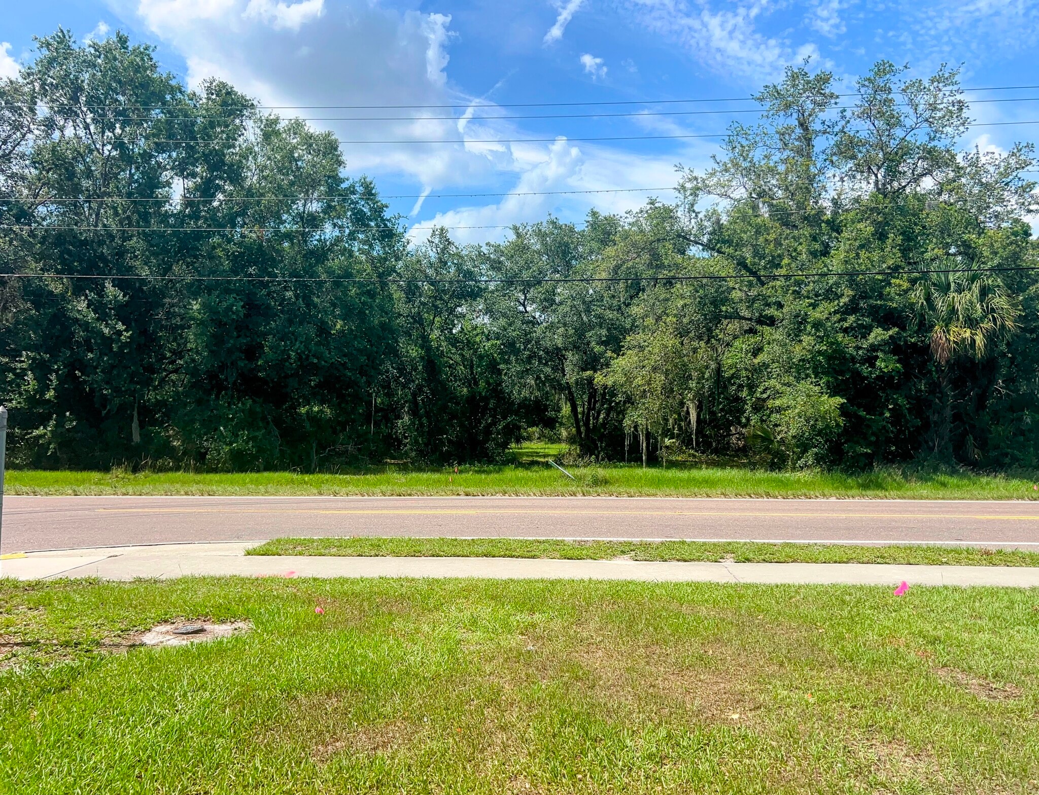 1308 E Alsobrook St, Plant City, FL for Sale