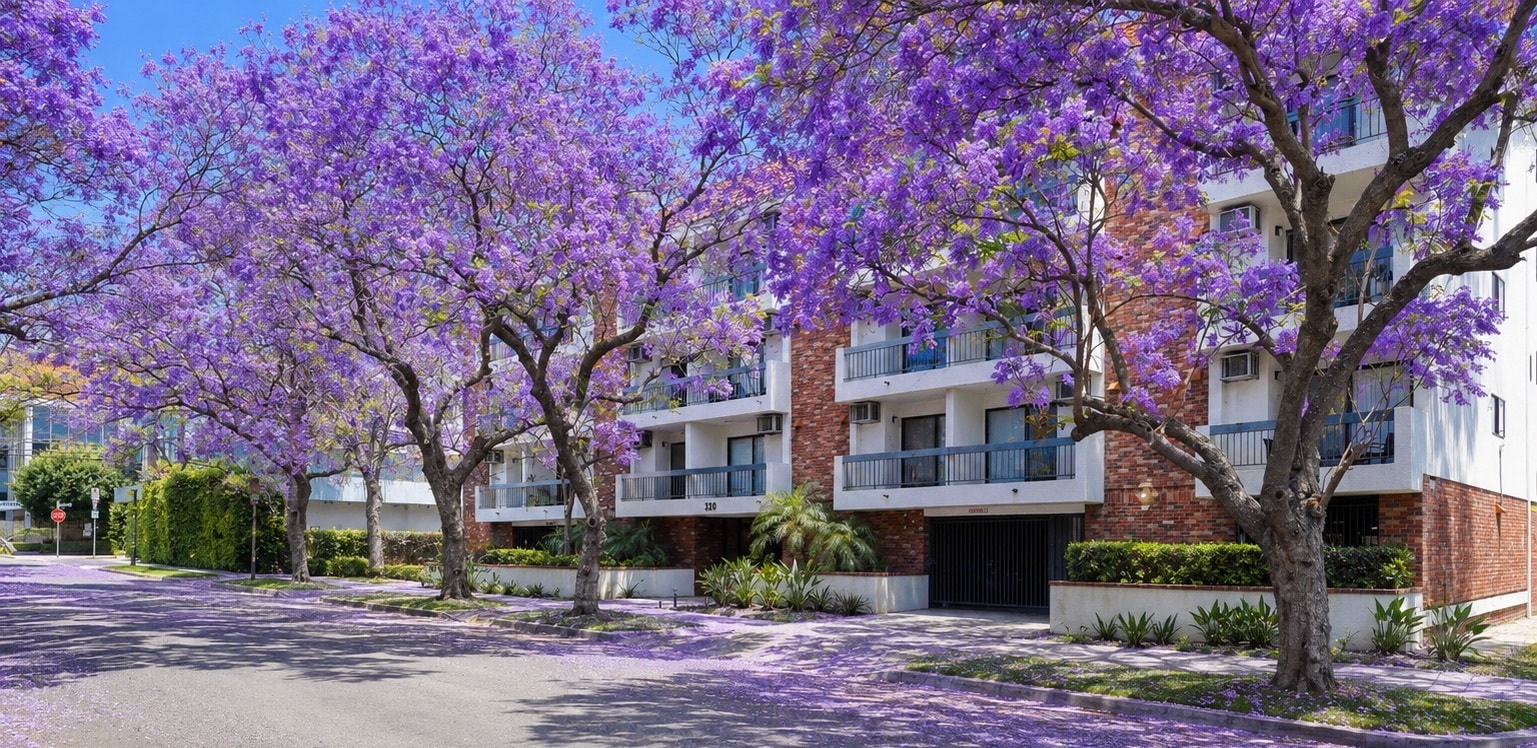 320 S Arnaz Dr, Los Angeles, CA for Sale