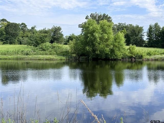 2096 FM 21, Pittsburg, TX for Sale
