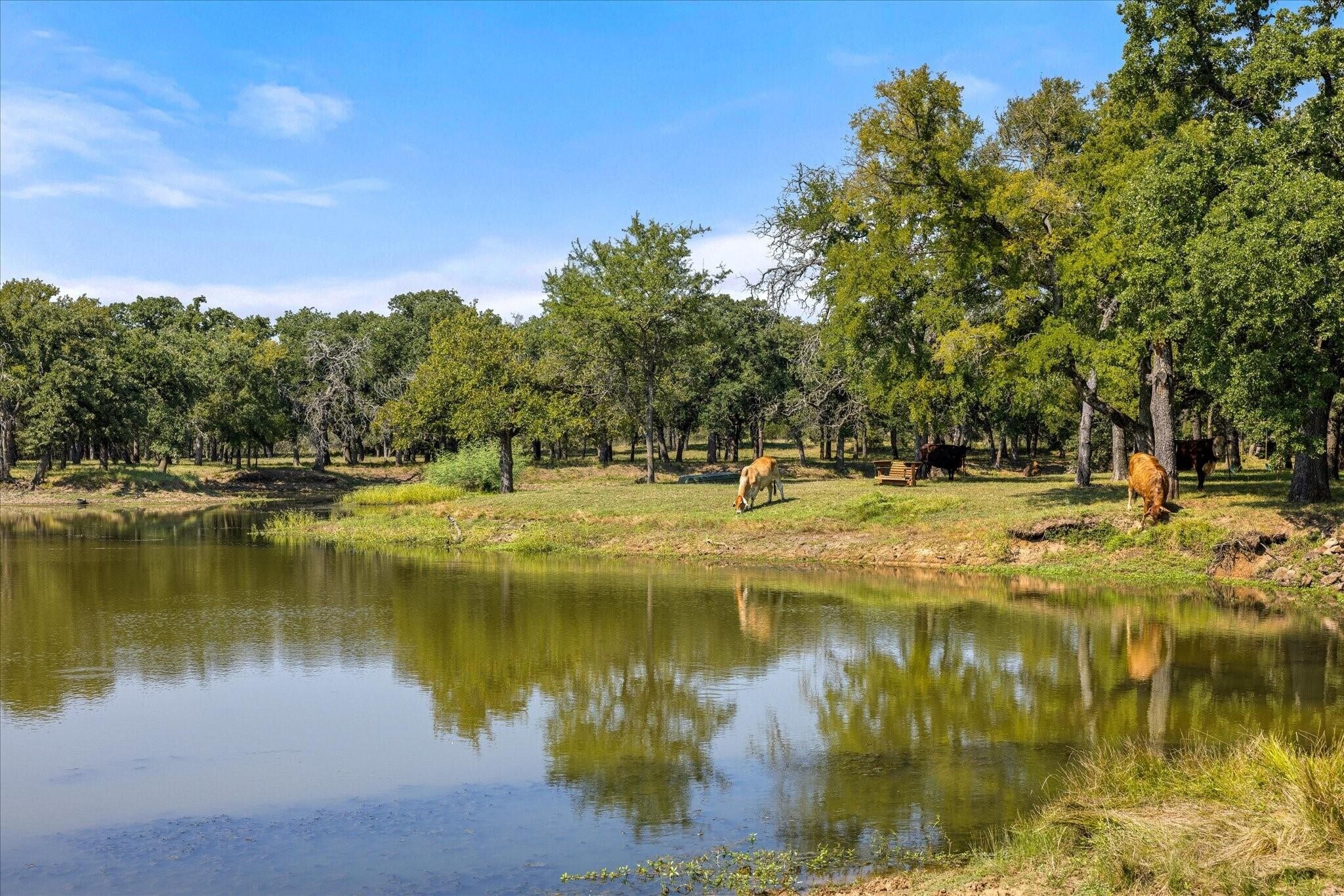 11230 Light Rd, Lipan, TX for Sale